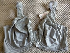 Silver Bra 50E Telimussto